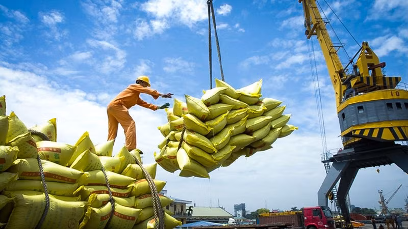 Diversifican mercado de exportación para el arroz vietnamita ảnh 1