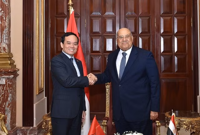 Vicepremier vietnamita se reúne con dirigentes parlamentarios de Egipto ảnh 1