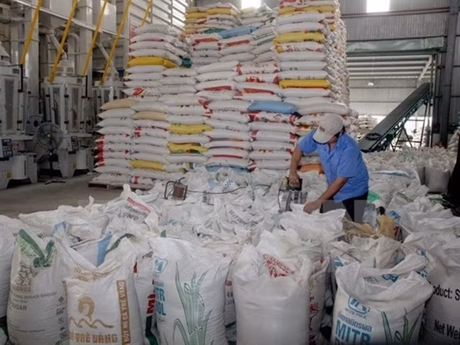 Exigen impulsar producción y exportación de arroz de Vietnam ảnh 1 Exigen impulsar producción y exportación de arroz de Vietnam ảnh 1
