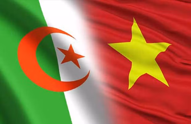 Vietnam se une a Asociación Internacional de Amigos de la Revolución Argelina ảnh 1