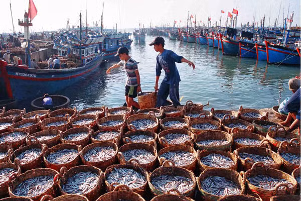 Vietnam necesita unos 382 millones de USD para proteger y explorar recursos marítimos ảnh 1 Vietnam necesita unos 382 millones de USD para proteger y explorar recursos marítimos ảnh 1