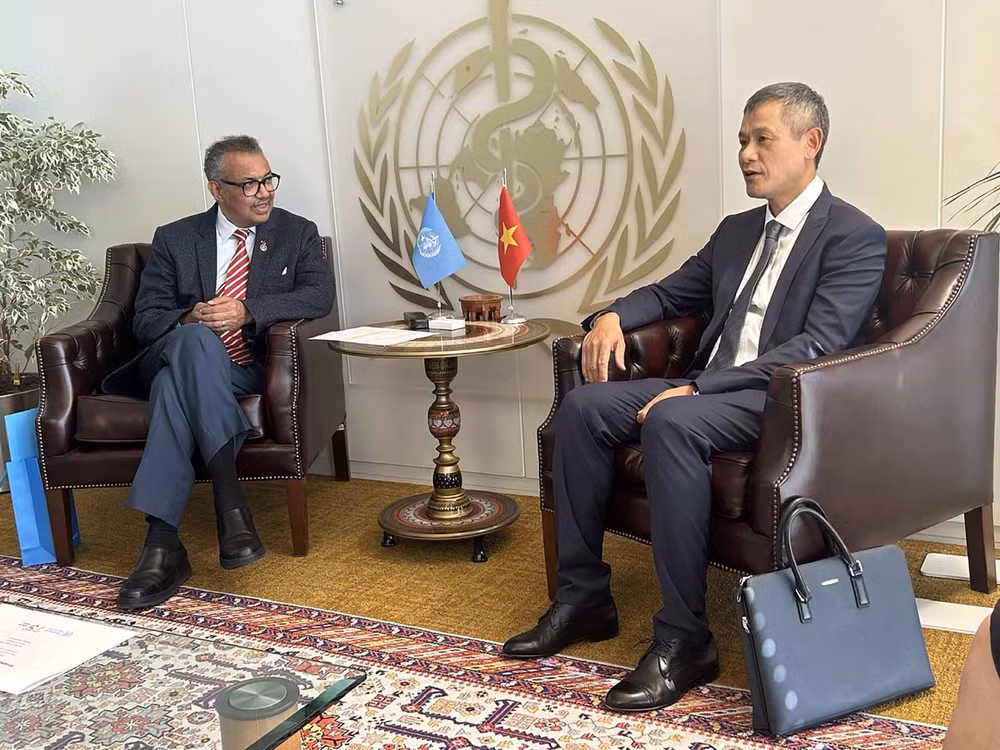 Participa Vietnam en sesiones sobre derechos humanos y cambio climático en Ginebra ảnh 3