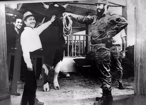 A 45 años de la histórica visita de Fidel a Vietnam ảnh 8