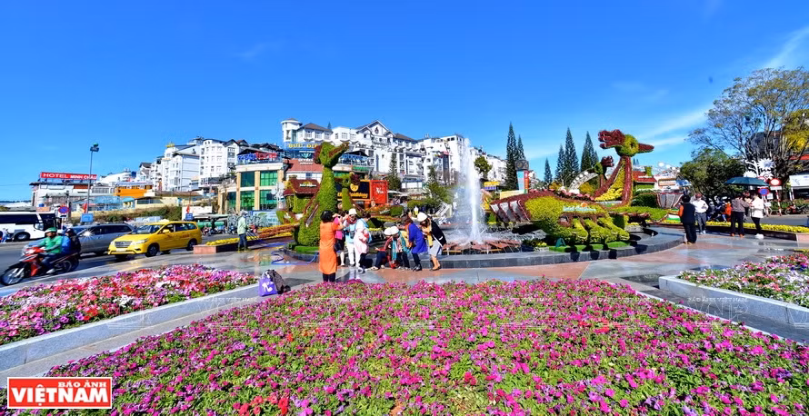Da Lat, capital de exportación de flores ảnh 1