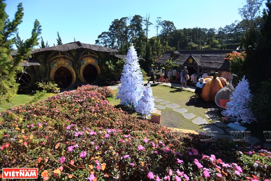 Da Lat, capital de exportación de flores ảnh 2