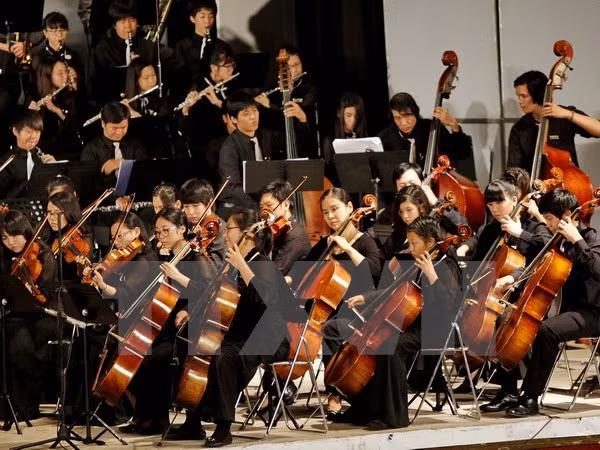 Celebrarán en Vietnam concierto de música clásica por Día de Rusia ảnh 1