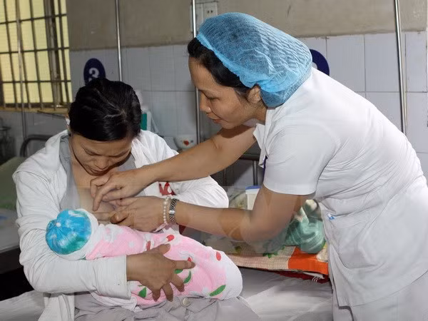 España asiste a Vietnam en programa de nutrición infantil ảnh 1
