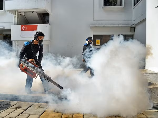 Singapur confirma dos casos nuevos de Zika ảnh 1