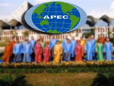 APEC 2017 dará impulso a la economía vietnamita ảnh 1 APEC 2017 dará impulso a la economía vietnamita ảnh 1