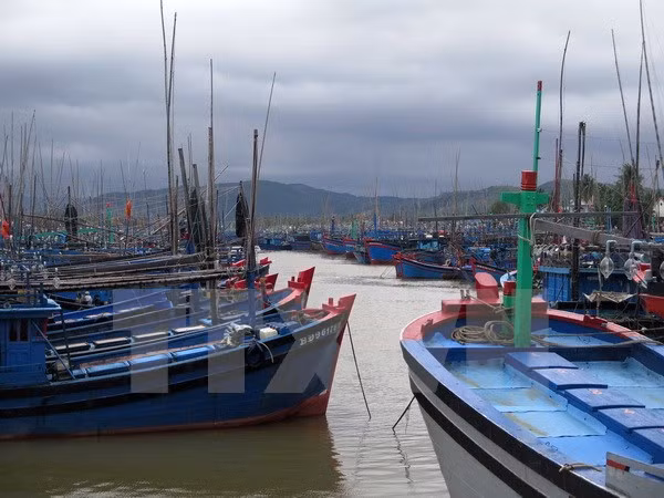 Inauguran en Vietnam Semana del Mar e Islas 2017 ảnh 1