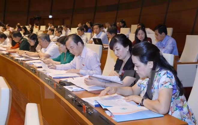 Asamblea Nacional de Vietnam continúa debates sobre proyectos de leyes ảnh 1