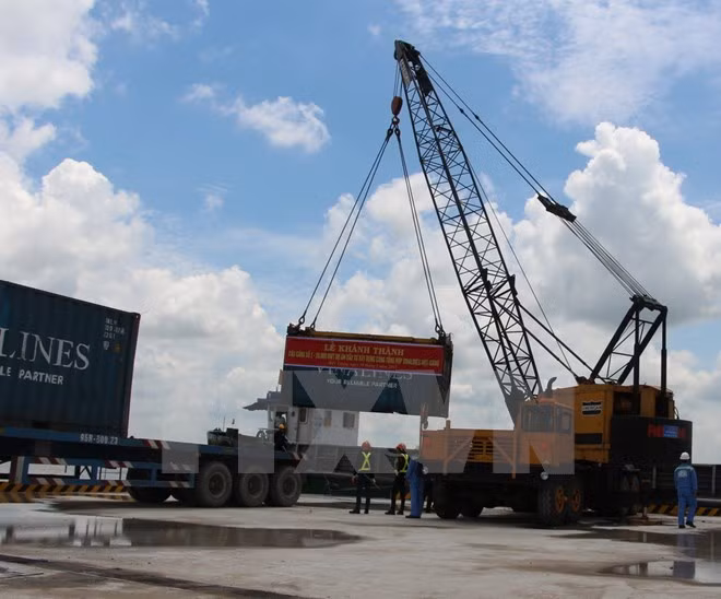 Vinalines y grupo japonés NYK Line cooperan en transporte y servicios logísticos ảnh 1