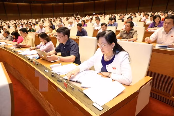 Parlamento vietnamita aprueba enmiendas al Código Penal ảnh 1