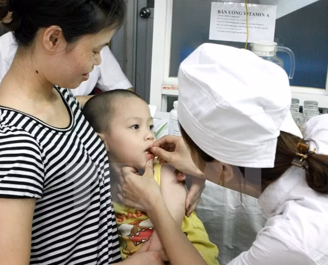Dieta desequilibrada provoca carencia de micronutrientes en vietnamitas ảnh 1