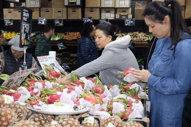Vietnam promueve exportación agrícola en ocasión de Tet ảnh 1
