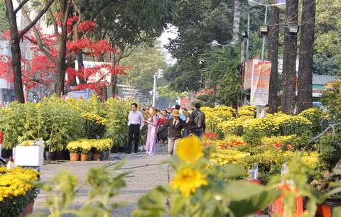 Celebran festival de flores en Ciudad Ho Chi Minh ảnh 1