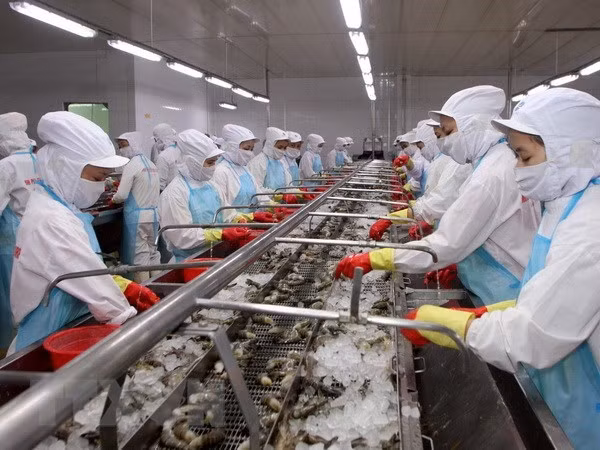 Proponen soluciones para reducir efectos de sanción aplicada por UE a la pesca vietnamita ảnh 1