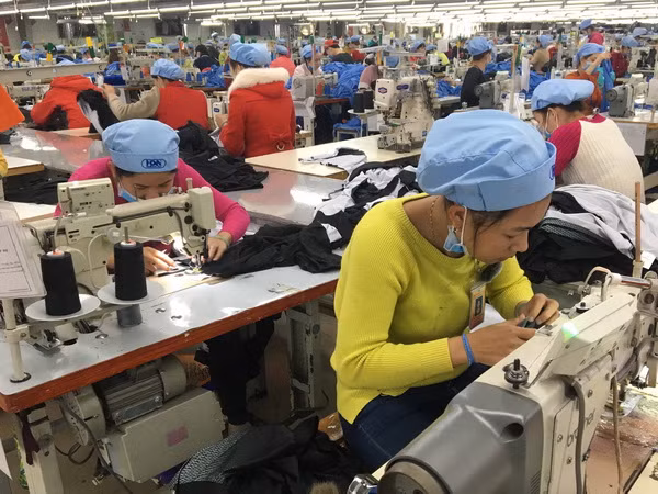 Exhortan a la renovación en la capacitación del personal en medio de la Industria 4.0 ảnh 1