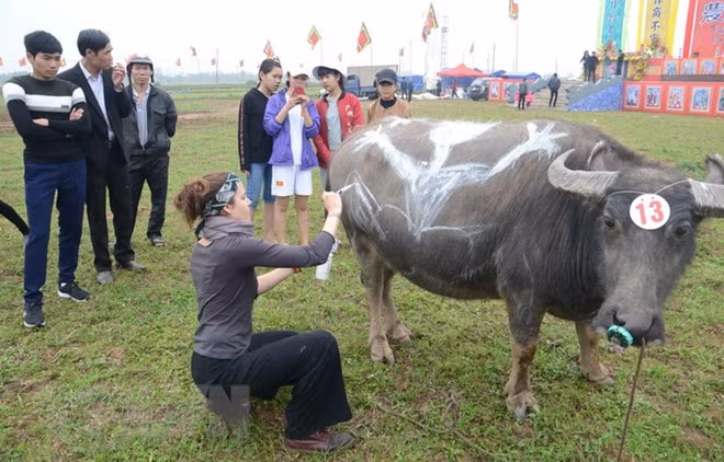 Comienzan festivales primaverales en provincias norteñas de Vietnam ảnh 1 Comienzan festivales primaverales en provincias norteñas de Vietnam ảnh 1