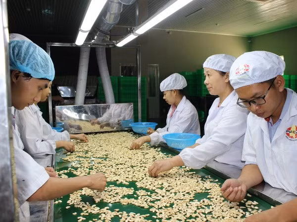 Vietnam busca impulsar exportaciones de productos agrosilvícolas y acuícolas ảnh 1