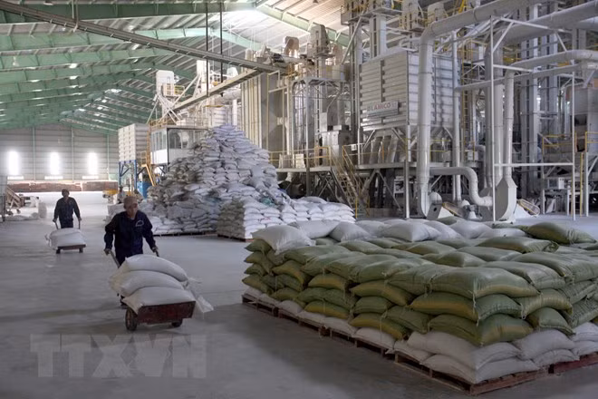 Myanmar efectuará foro sobre desarrollo de producción arrocera ảnh 1