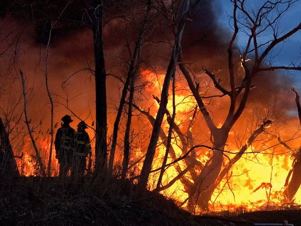 Incendios causan pérdidas por más de 16 mil millones de dólares en Indonesia ảnh 1