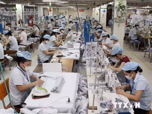 Dong Nai logra superávit de mil 500 millones de dólares ảnh 1