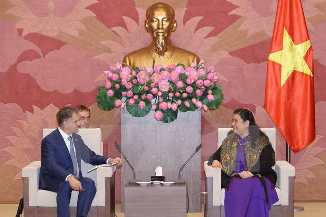 Vietnam presta alta prioridad en políticas exteriores con Rusia ảnh 1