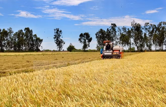 Vietnam y Japón cooperan en desarrollo agrícola de alta tecnología ảnh 1 Vietnam y Japón cooperan en desarrollo agrícola de alta tecnología ảnh 1
