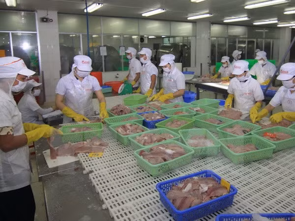 Nuevas normas de EE.UU., retos y oportunidades para pescado vietnamita ảnh 1