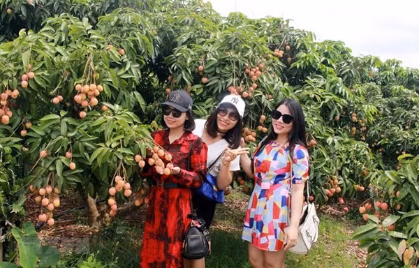 Bac Giang se esfuerza por desarrollar el turismo comunitario ảnh 2