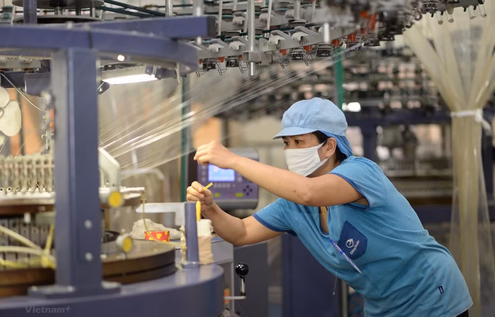 Vietnam promueve programa de trabajo decente ảnh 1