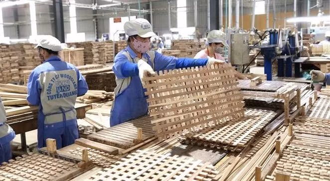 Vietnam espera lograr 16,3 mil millones de dólares de exportaciones de productos silvícolas en 2022 ảnh 2