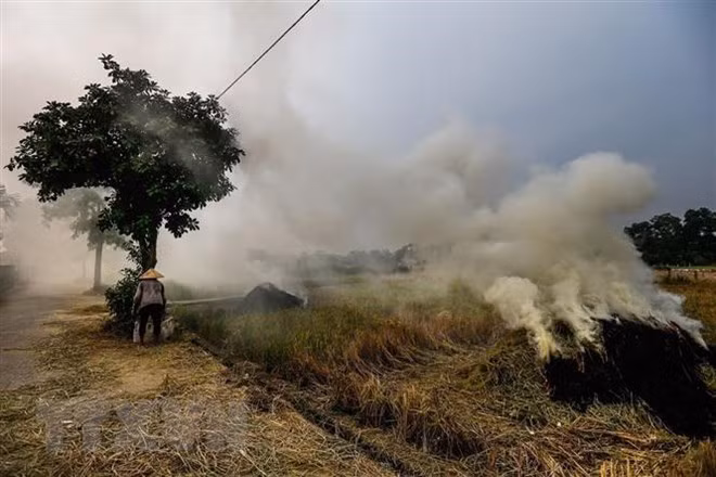 ONU elogia esfuerzos de Vietnam en respuesta al cambio climático ảnh 2