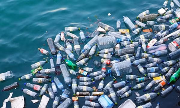Convocan a premios periodísticos sobre reducción de contaminación por plástico ảnh 1