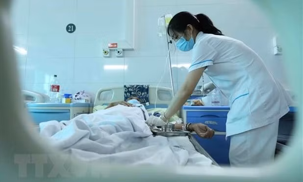 Hanoi registra 19 brotes de dengue ảnh 1