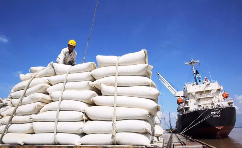 Promueven comercio y cooperación empresarial entre Vietnam y Argelia ảnh 1