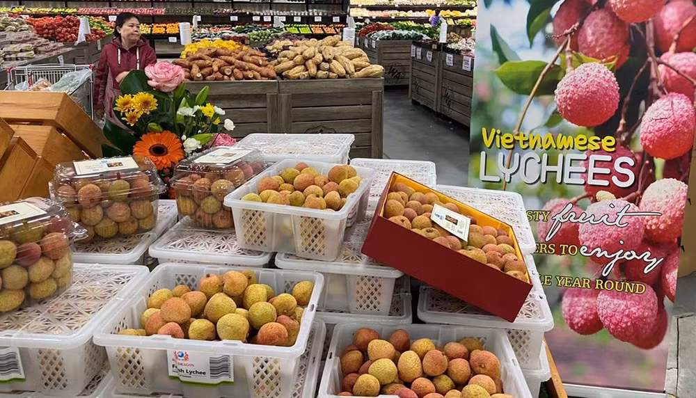 Avanza con buen ritmo comercio entre Vietnam y Australia ảnh 2 Avanza con buen ritmo comercio entre Vietnam y Australia ảnh 2