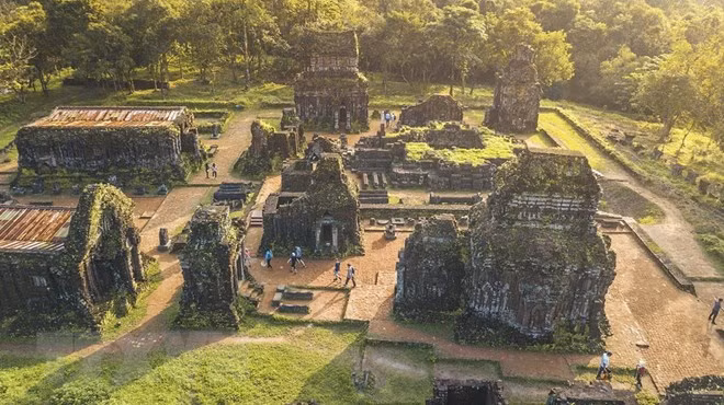 Protegen ecosistema de santuario My Son, patrimonio cultural mundial ảnh 1