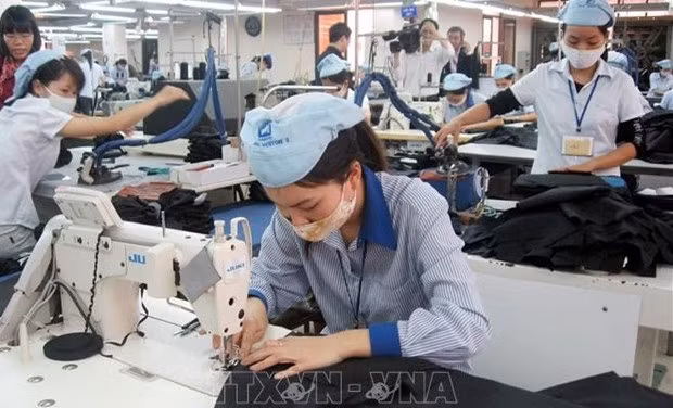 Tratado de Libre Comercio brinda beneficios para Vietnam y el Reino Unido ảnh 1