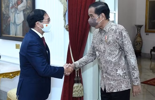 Vietnam otorga importancia a relaciones con Indonesia, afirma canciller ảnh 1