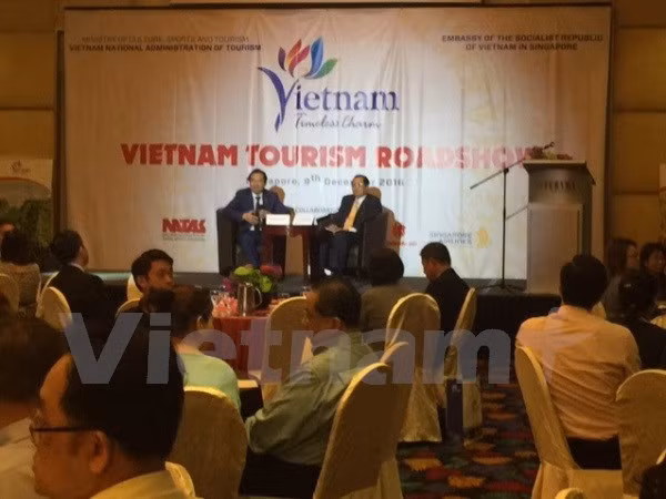 Vietnam y Singapur promueven desarrollo de turismo MICE ảnh 1