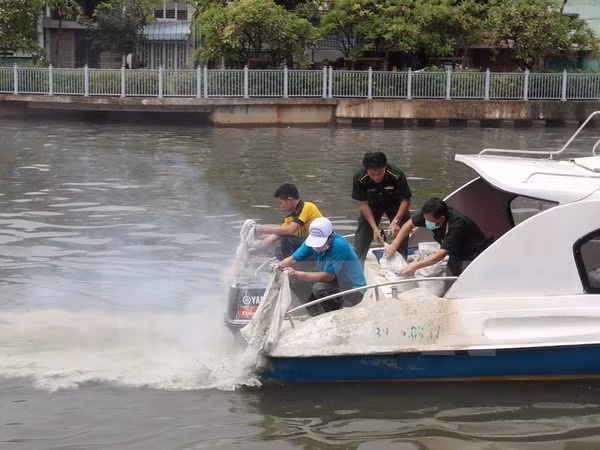 Ciudad Ho Chi Minh se empeña en reducir contaminación en canales y ríos ảnh 1