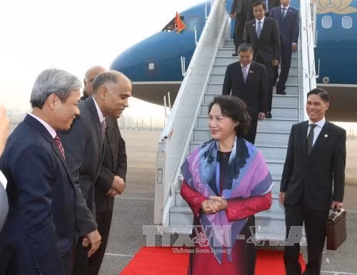 Inicia presidenta parlamentaria de Vietnam visita oficial a India ảnh 1