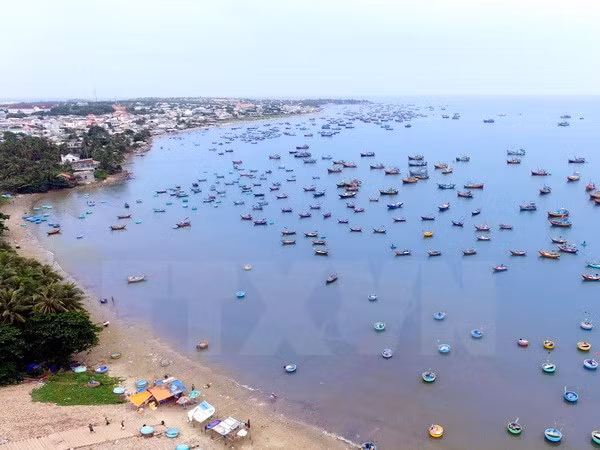 Promueven en Vietnam acciones de protección medioambiental marina ảnh 1