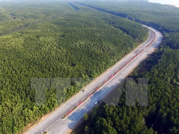 Ciudad Ho Chi Minh invierte millones de dólares para protección forestal ảnh 1