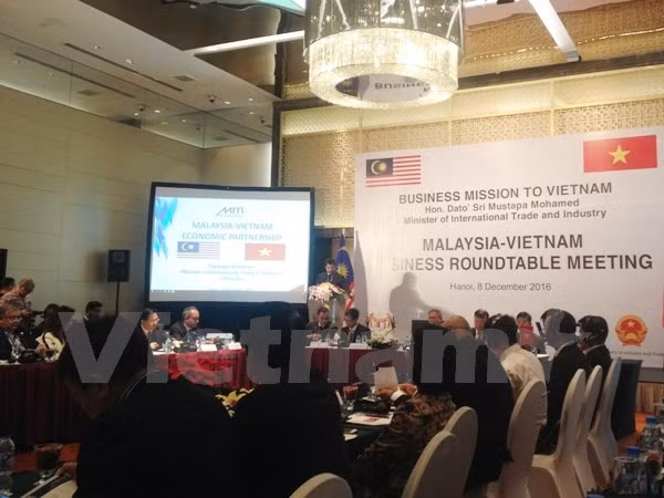 Fomentan cooperación económica Vietnam y Malasia ảnh 1