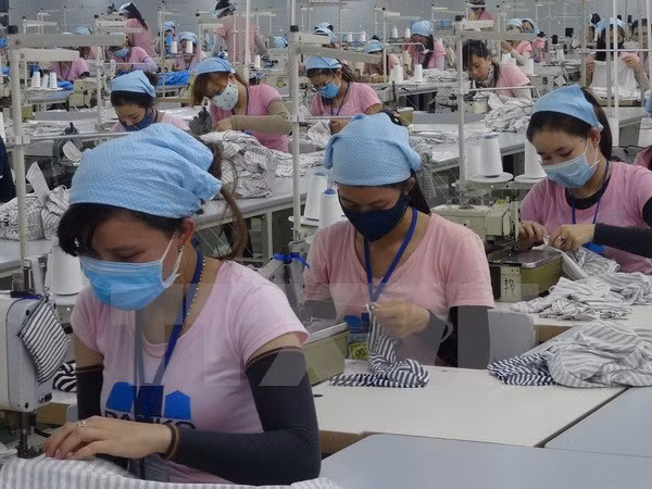 Grandes expectativas de empresas de Vietnam para 2017 ảnh 1