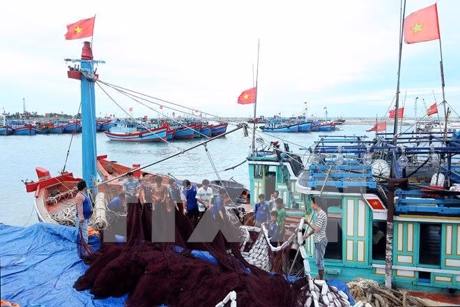 Esmerado Vietnam en impulsar la economía marítima ảnh 1