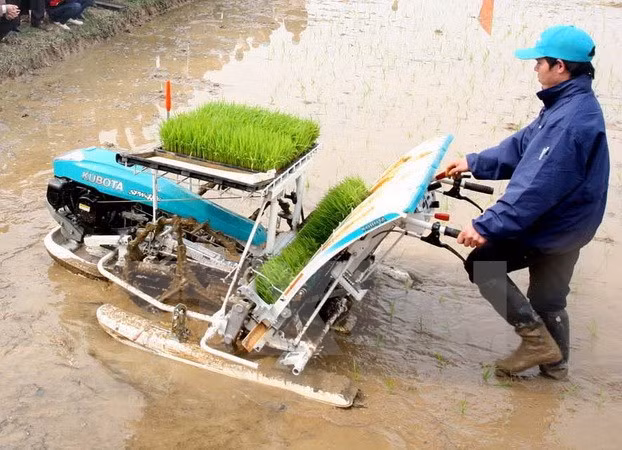 JICA asiste a desarrollo rural en provincia de Vietnam ảnh 1
